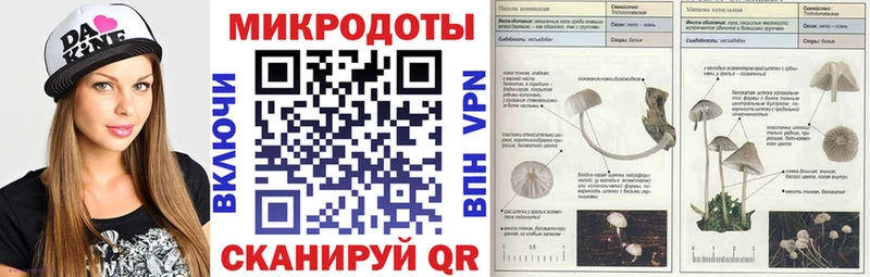 Галлюциногенные грибы Cubensis  дарнет шоп  Орск 