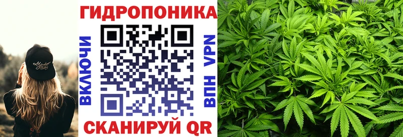 Канабис Bruce Banner Орск